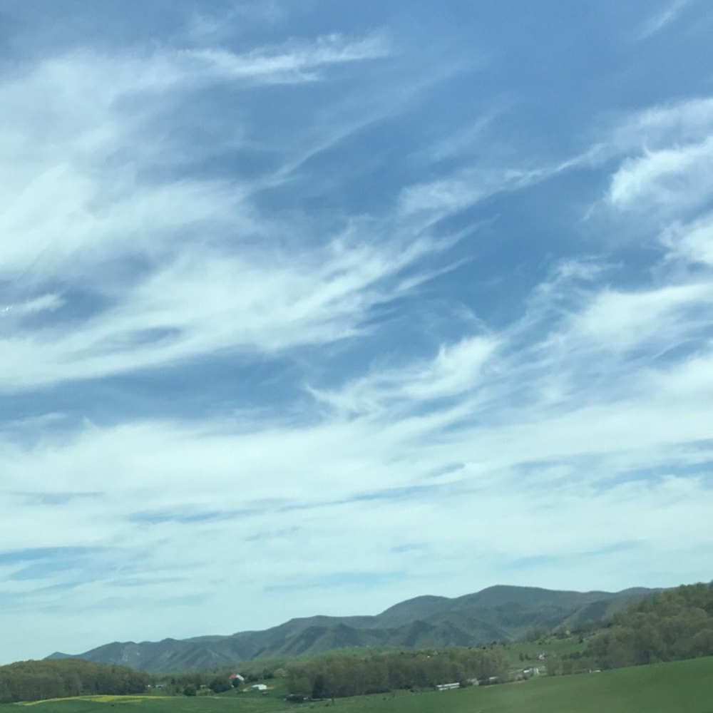 Meet your Posher, Michelle